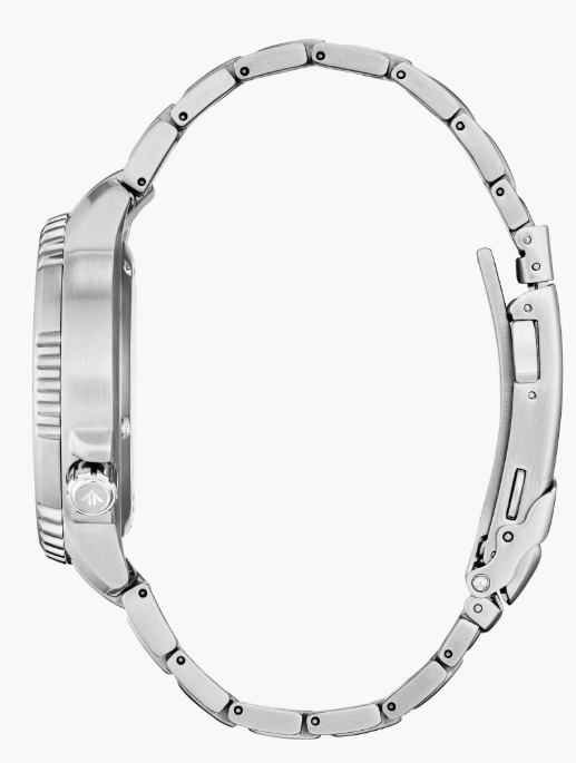 Citizen Promaster Dive - Brownee Jewelers