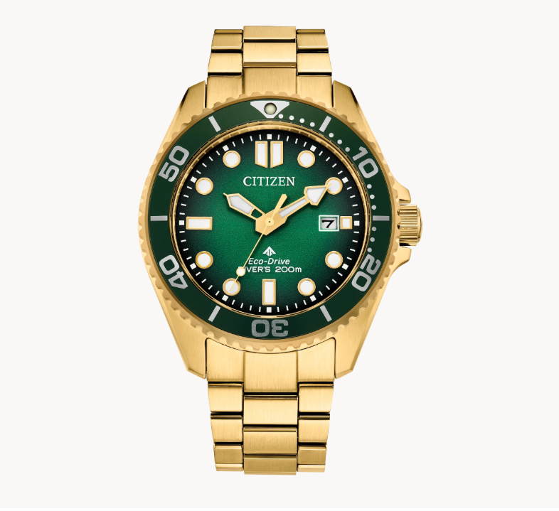Citizen Promaster Dive - Brownee Jewelers