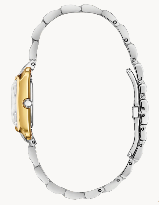 The CITIZEN L Collection represents the epitome of a ladies timepiece, showcasing all the sophistication, style and power that appeal to today's woman.