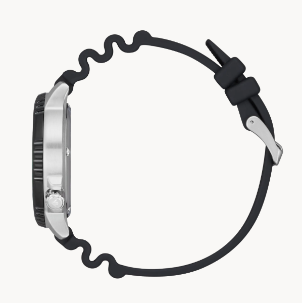 Citizen Promaster Dive - Brownee Jewelers