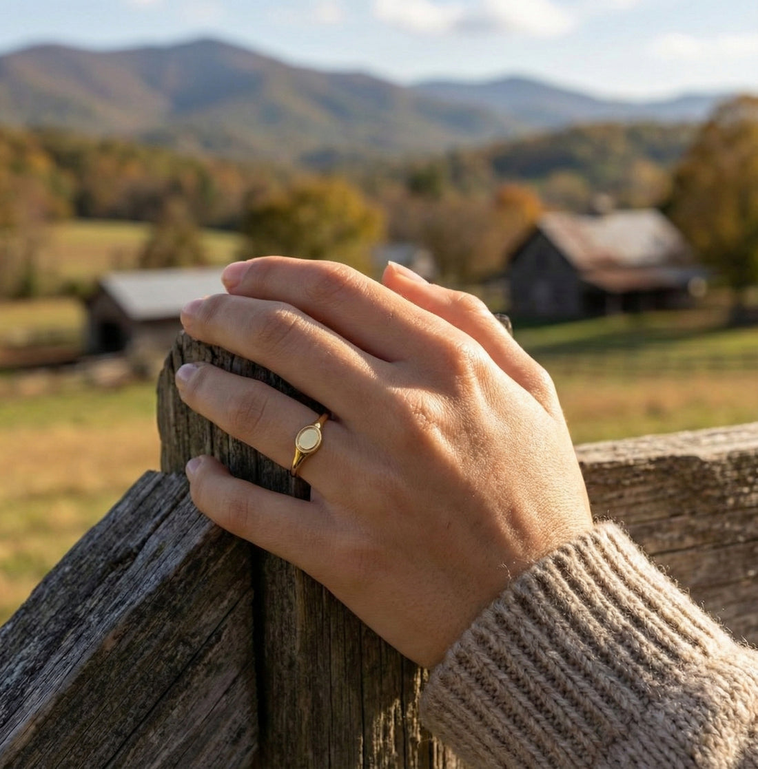 Mini Oval Signet Ring | 14K Yellow Gold | Classic Polished | Size 7 - Brownee Jewelers