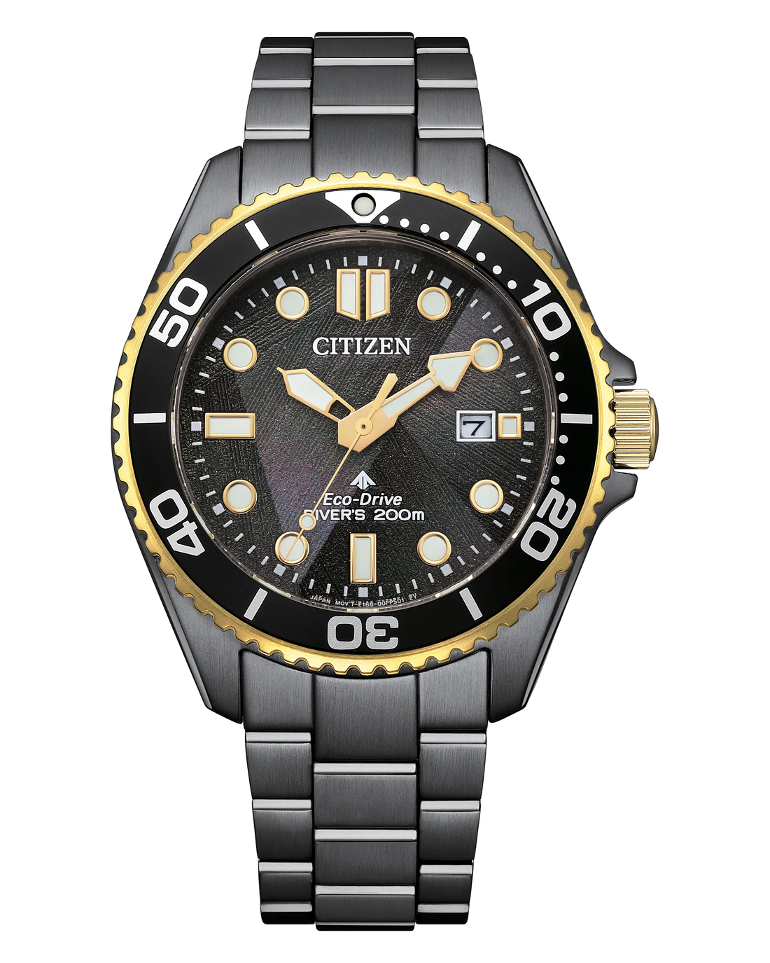 Promaster Dive LIGHT in BLACK | Citizen Eco-Drive | Gray IP Stainless Steel | Black Dial | 200M Dive Watch - Brownee Jewelers