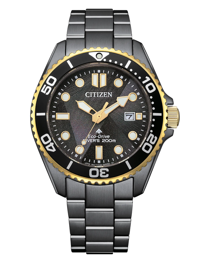 Promaster Dive LIGHT in BLACK | Citizen Eco-Drive | Gray IP Stainless Steel | Black Dial | 200M Dive Watch - Brownee Jewelers