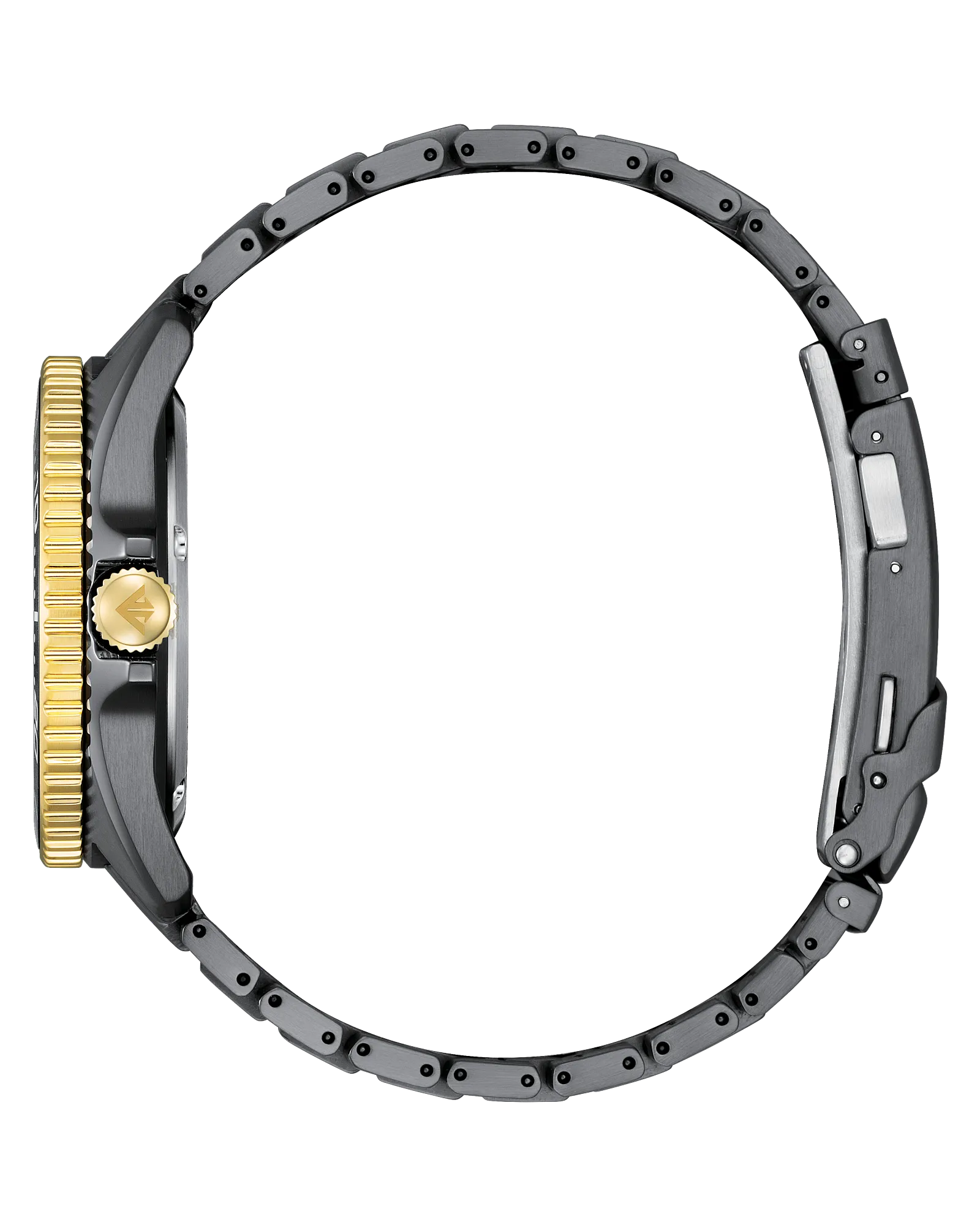 Promaster Dive LIGHT in BLACK | Citizen Eco-Drive | Gray IP Stainless Steel | Black Dial | 200M Dive Watch - Brownee Jewelers