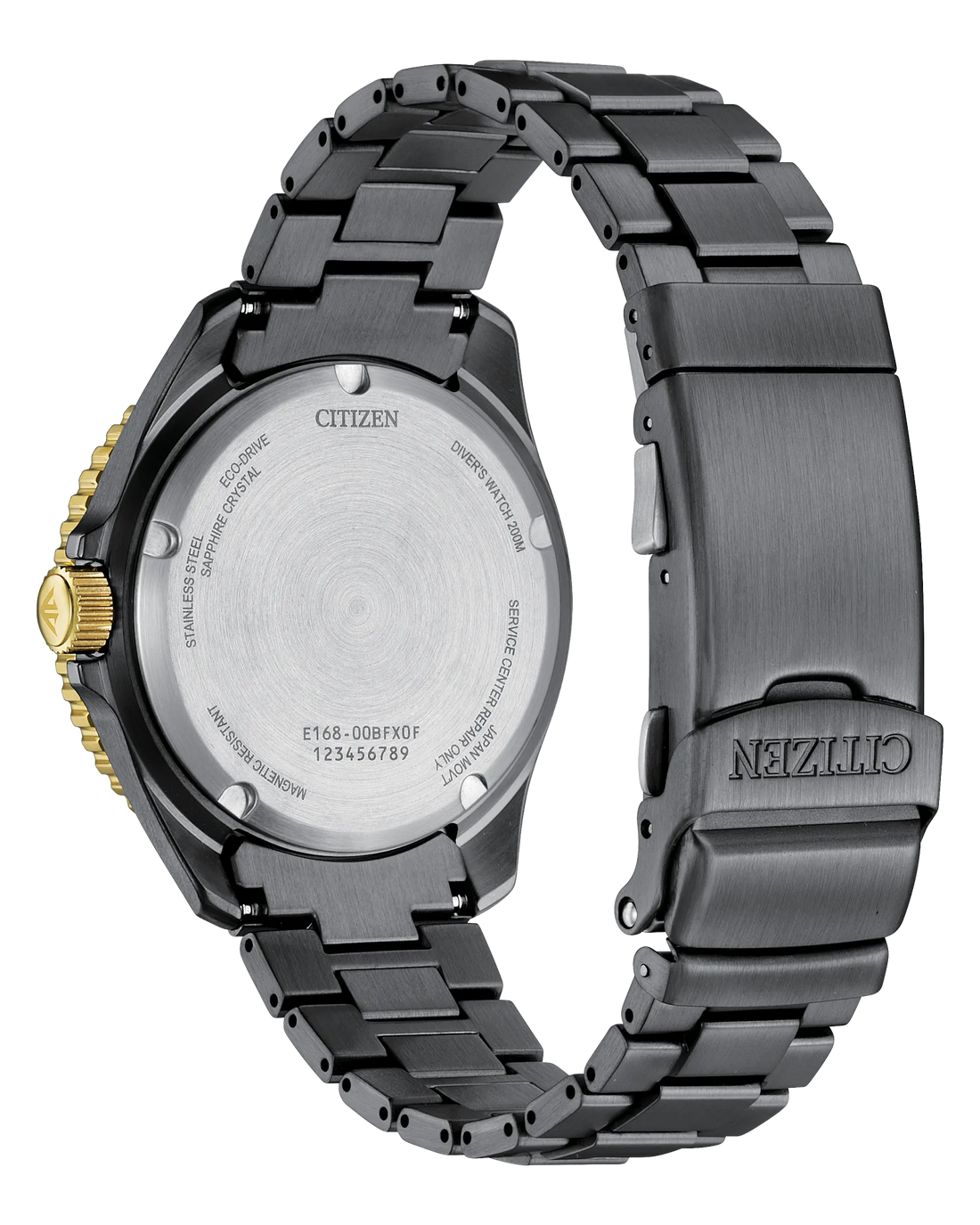Promaster Dive LIGHT in BLACK | Citizen Eco-Drive | Gray IP Stainless Steel | Black Dial | 200M Dive Watch - Brownee Jewelers