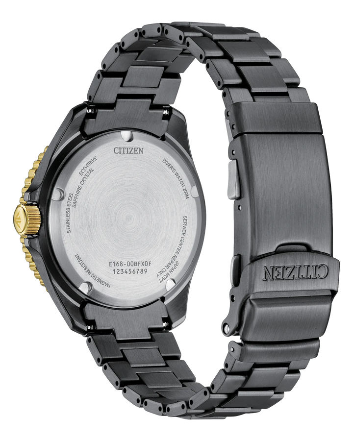 Promaster Dive LIGHT in BLACK | Citizen Eco-Drive | Gray IP Stainless Steel | Black Dial | 200M Dive Watch - Brownee Jewelers