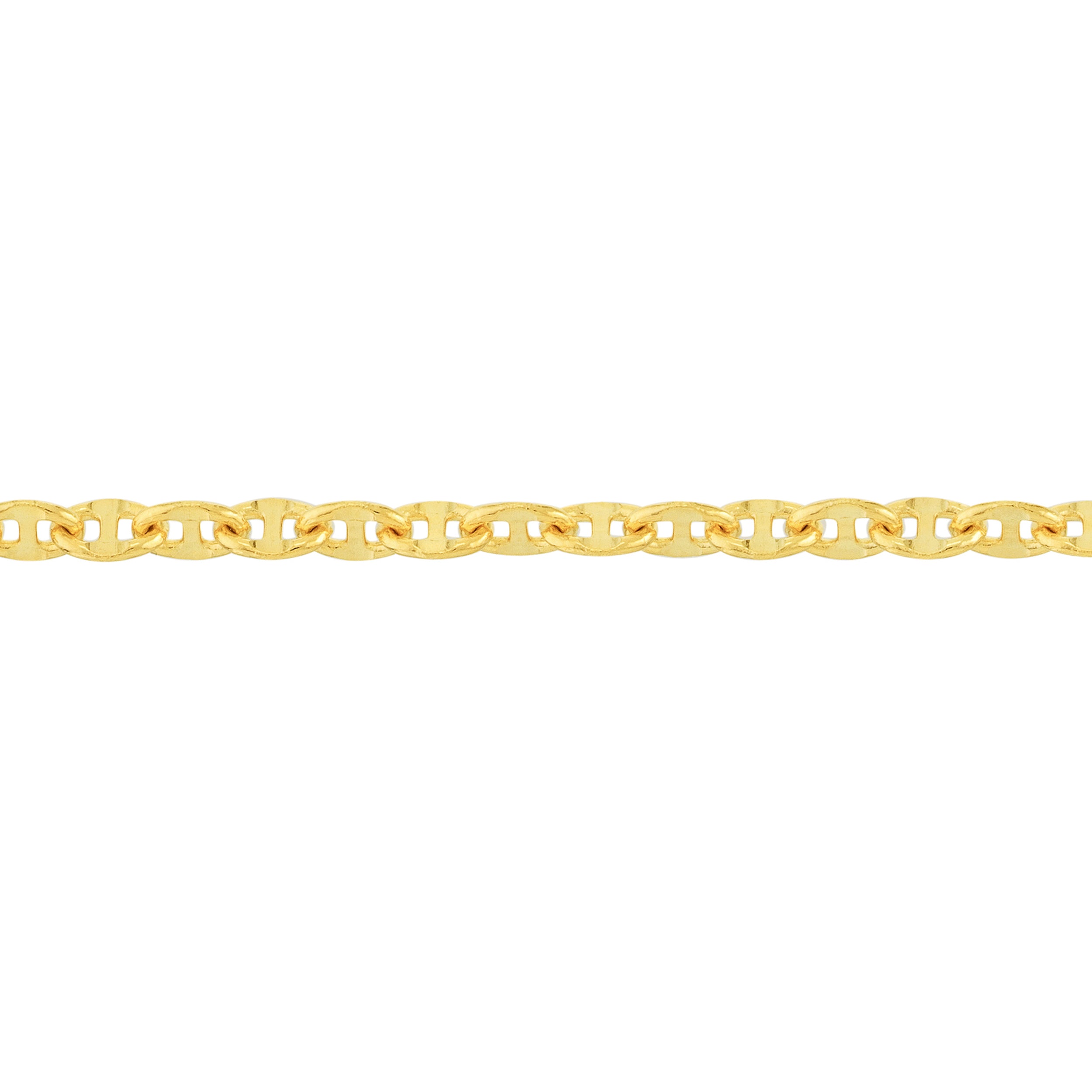 10" 2.65MM ANCHOR CHAIN ANKLET | 14K YELLOW GOLD | MZ000485-14Y - Brownlee Jewelers