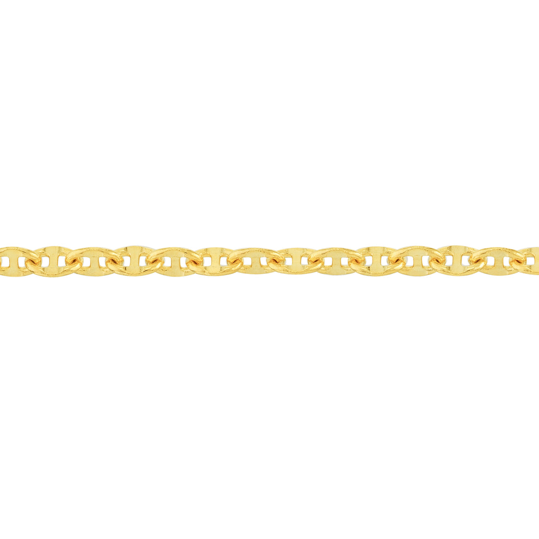 10" 2.65MM ANCHOR CHAIN ANKLET | 14K YELLOW GOLD | MZ000485-14Y - Brownlee Jewelers