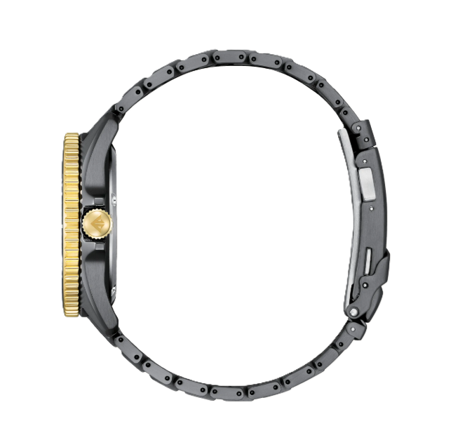 CITIZEN PROMASTER DIVE | MEN'S ECO-DRIVE WATCH | STAINLESS STEEL | BLACK DIAL | BN0264-53E - Brownee Jewelers