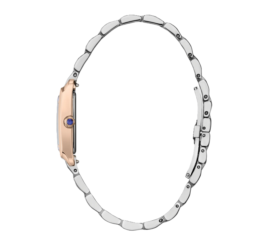CITIZEN L BIANCA | LADIES ECO-DRIVE WATCH | TWO-TONE STAINLESS STEEL | MOTHER OF PEARL DIAL | EW5624-54Y - Brownee Jewelers