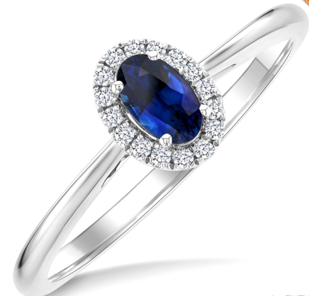 10kt white gold Sapphire & Diamond Halo Ring