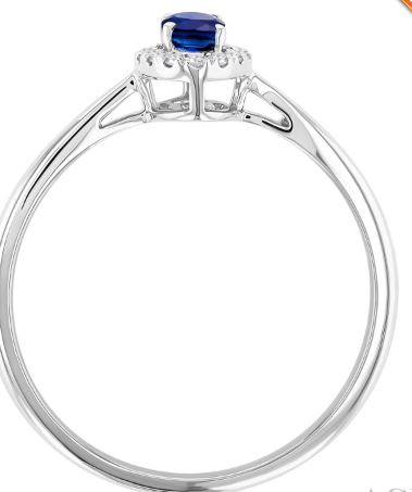 10kt white gold Sapphire & Diamond Halo Ring