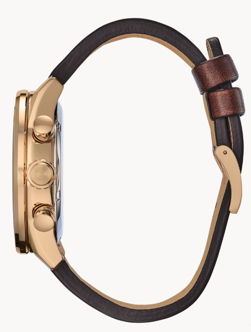 Citizen Avion - Brownee Jewelers