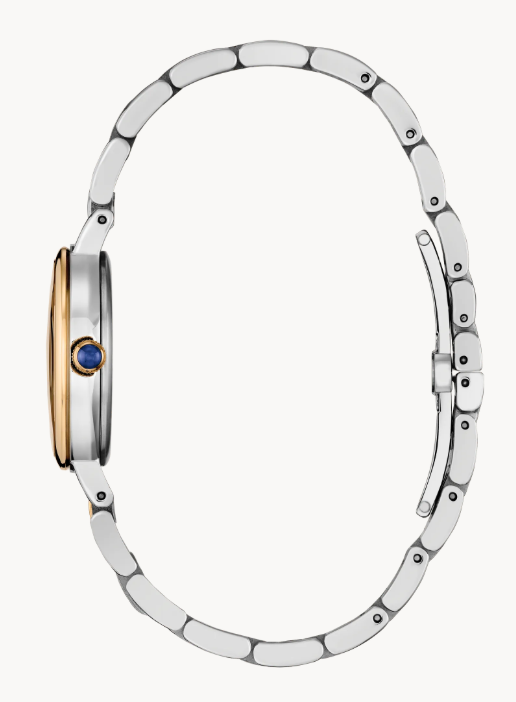 Citizen L Classic | EM0996-84Y - Brownee Jewelers
