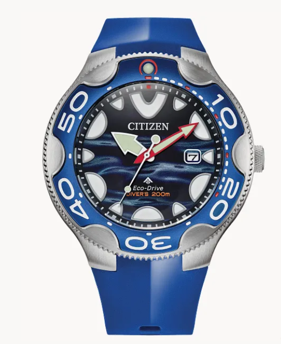 Citizen Promaster Dive | Men's Eco-Drive Watch | Silver-Tone Stainless Steel | Rubber Strap | BN0238-02L - Brownee Jewelers