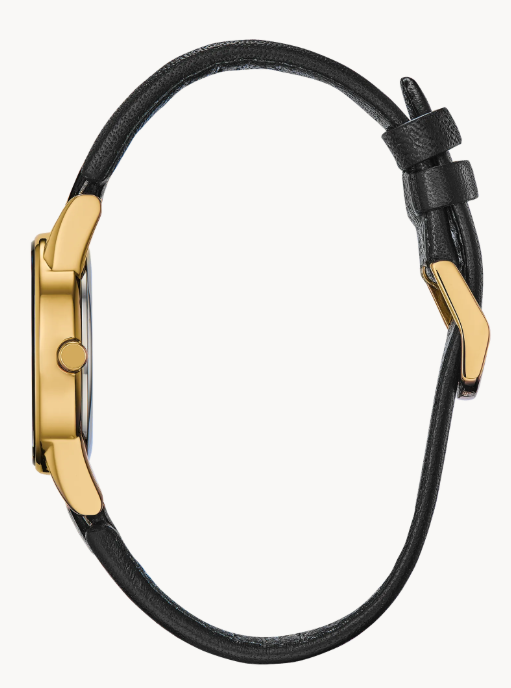 Citizen Axiom | Ladies Eco-Drive Watch | Gold-Tone Stainless Steel | Black Dial | Leather Strap | GA1052-04E - Brownee Jewelers