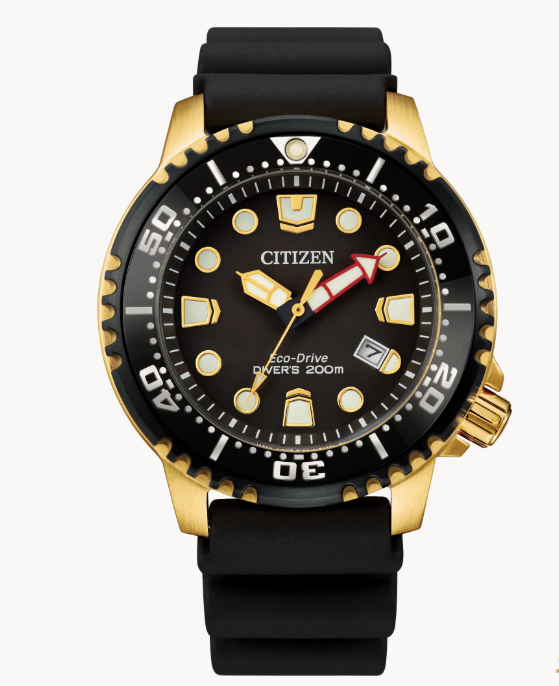 Citizen Promaster Dive - Brownee Jewelers