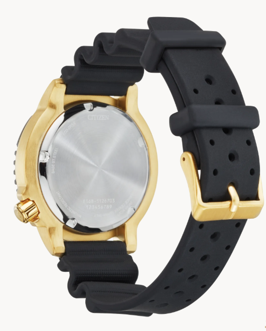 Citizen Promaster Dive - Brownee Jewelers
